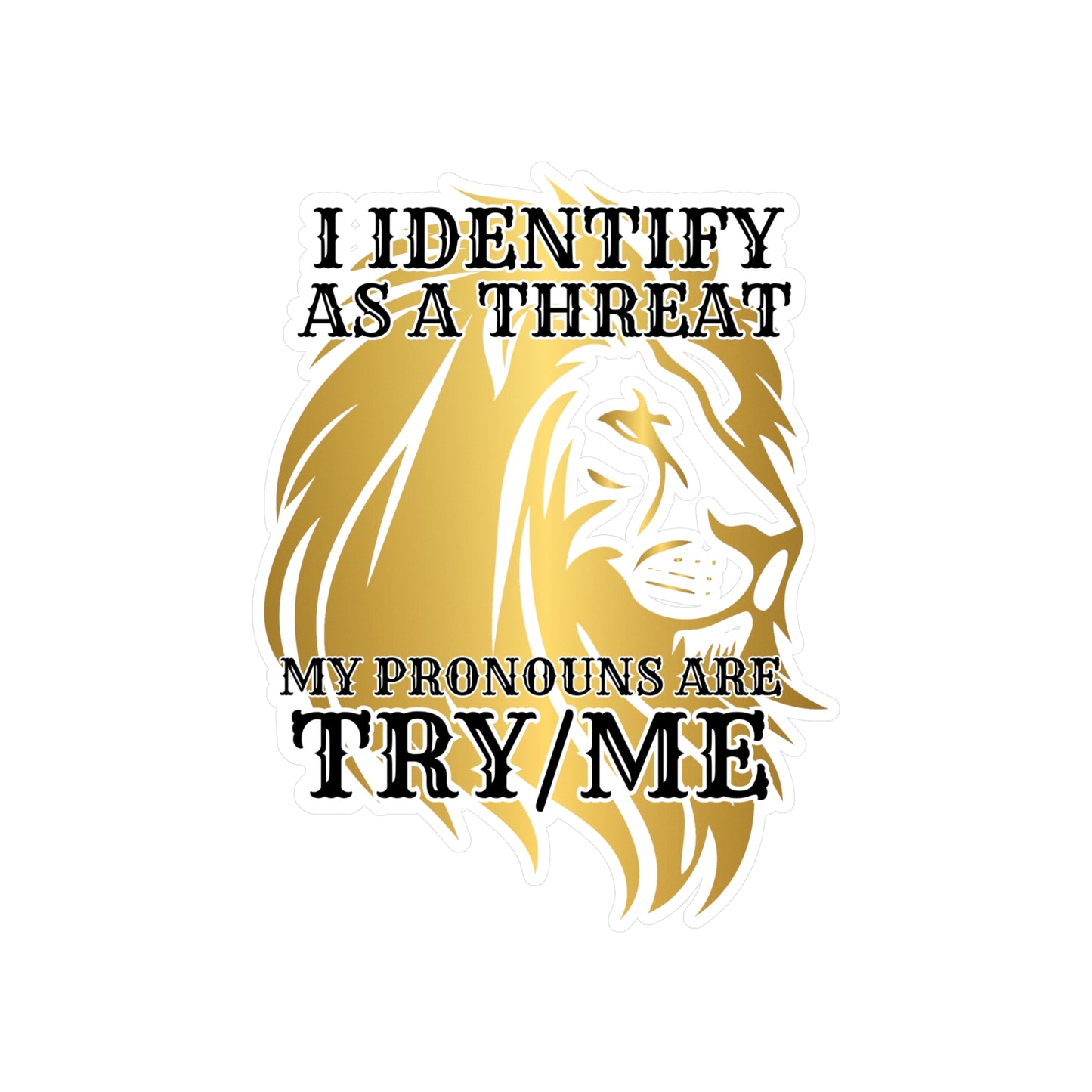 Pronouns Kiss-Cut Vinyl Decals