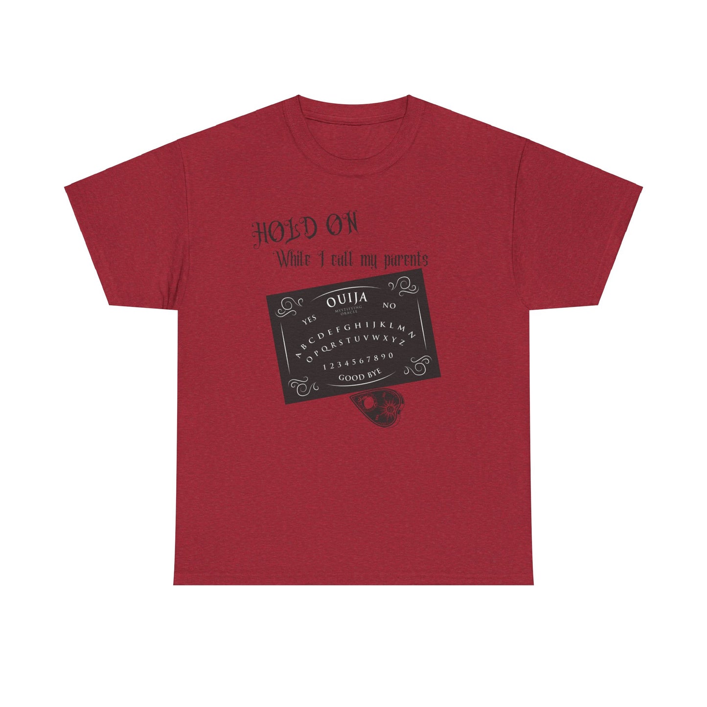 Hold on Unisex Heavy Cotton Tee