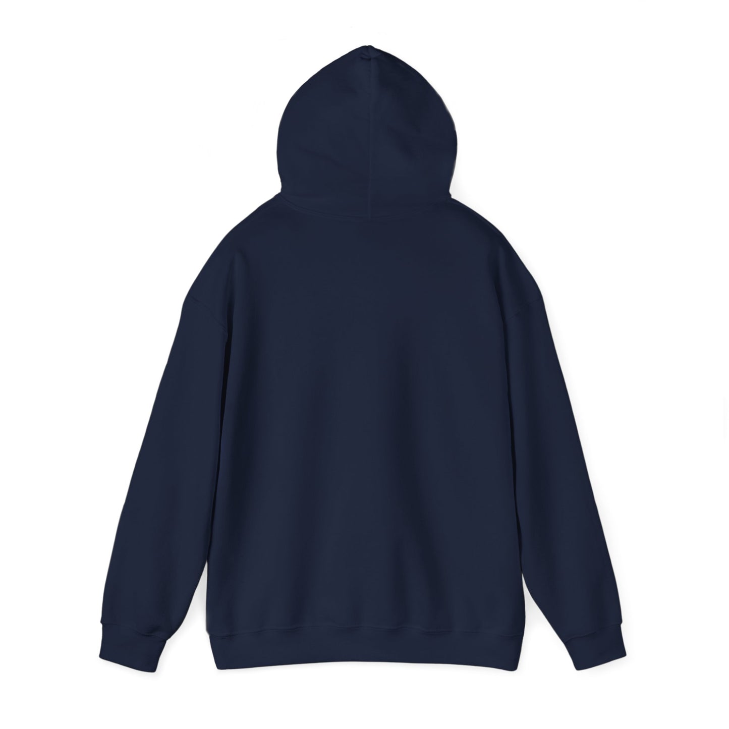 Houston Unisex Heavy Blend™ Hooded Sweatshirt