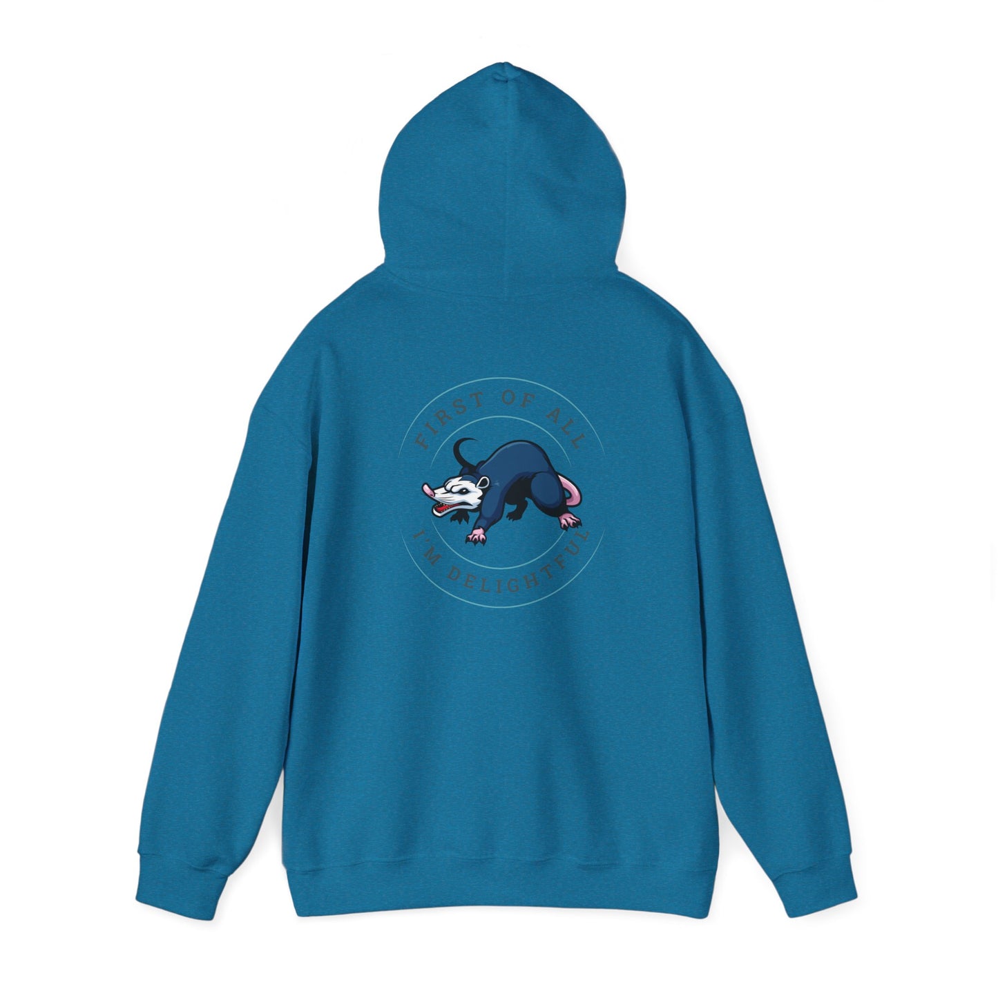 First of all Unisex Heavy Blend™ Hooded Sweatshirt