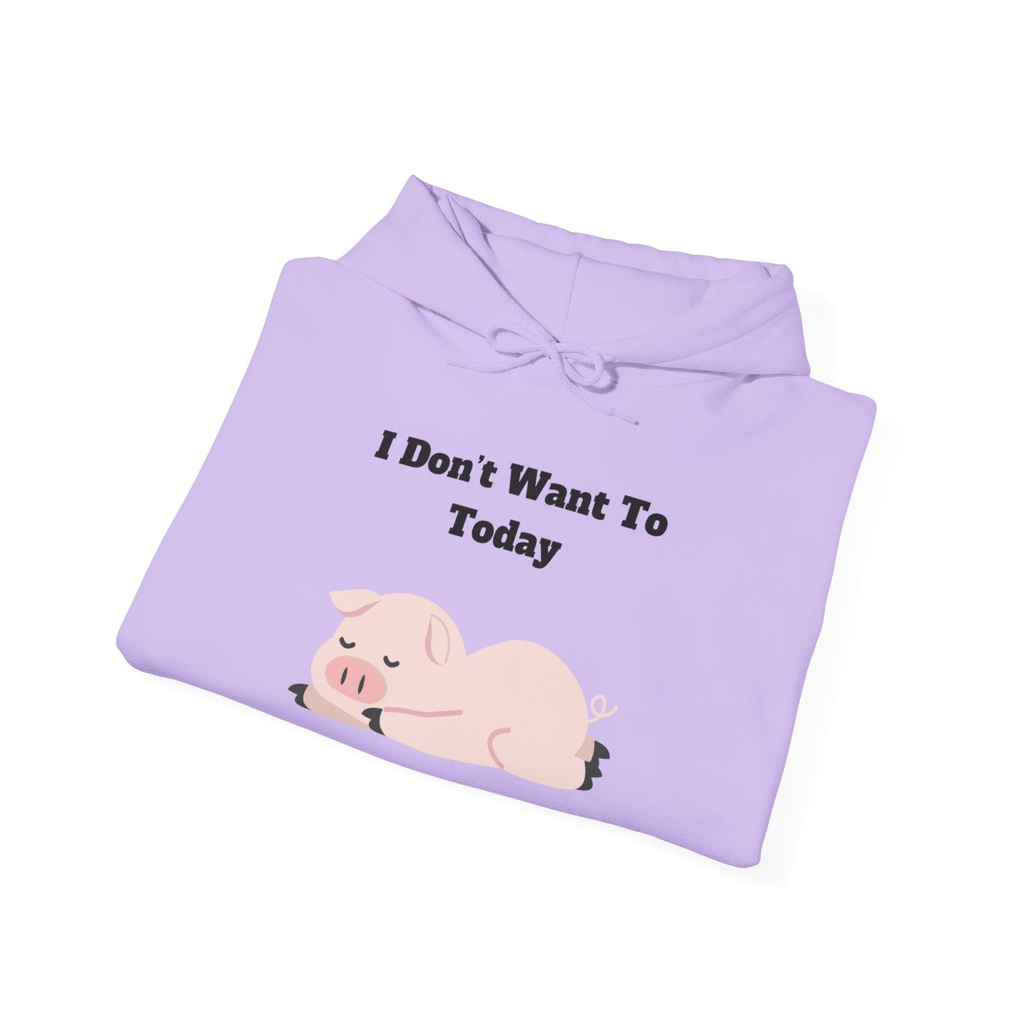 I Don't Want To Today Unisex Heavy Blend™ Hooded Sweatshirt