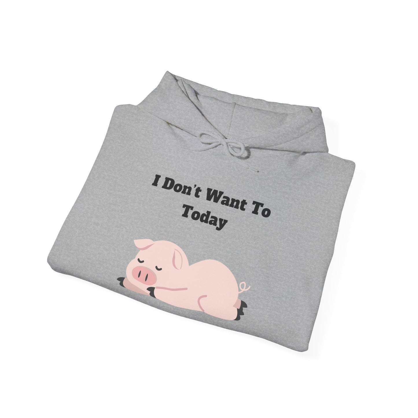 I Don't Want To Today Unisex Heavy Blend™ Hooded Sweatshirt