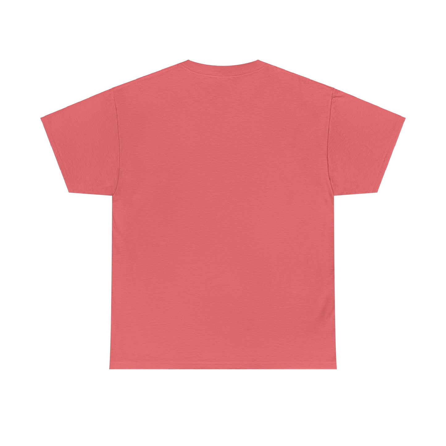 Not Friendly Heavy Cotton Tee