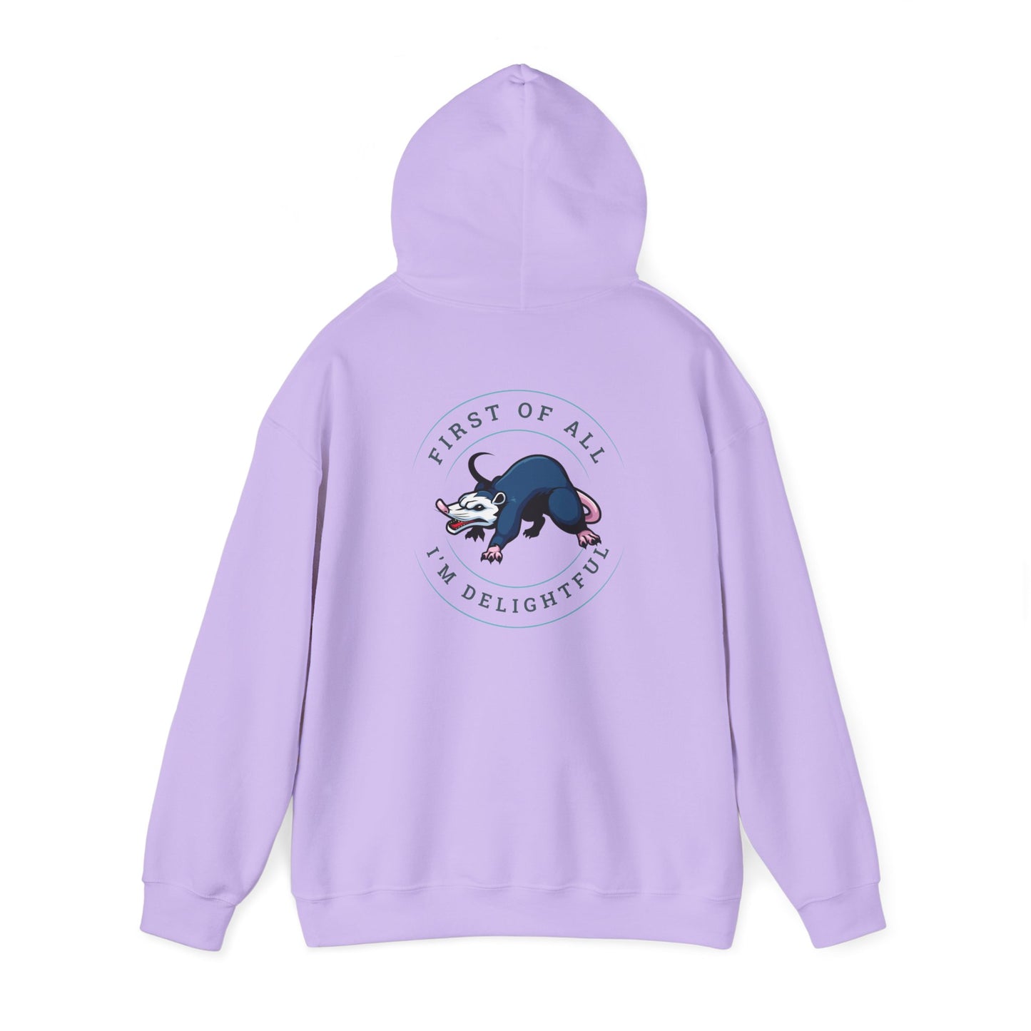 First of all Unisex Heavy Blend™ Hooded Sweatshirt
