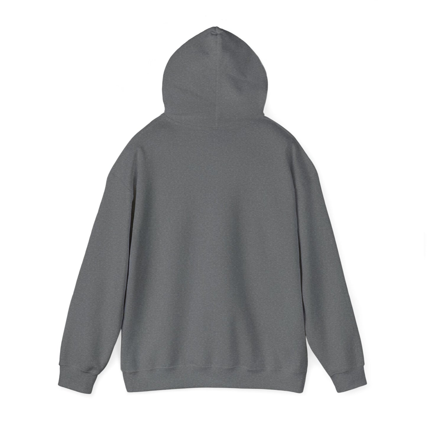 Houston Unisex Heavy Blend™ Hooded Sweatshirt