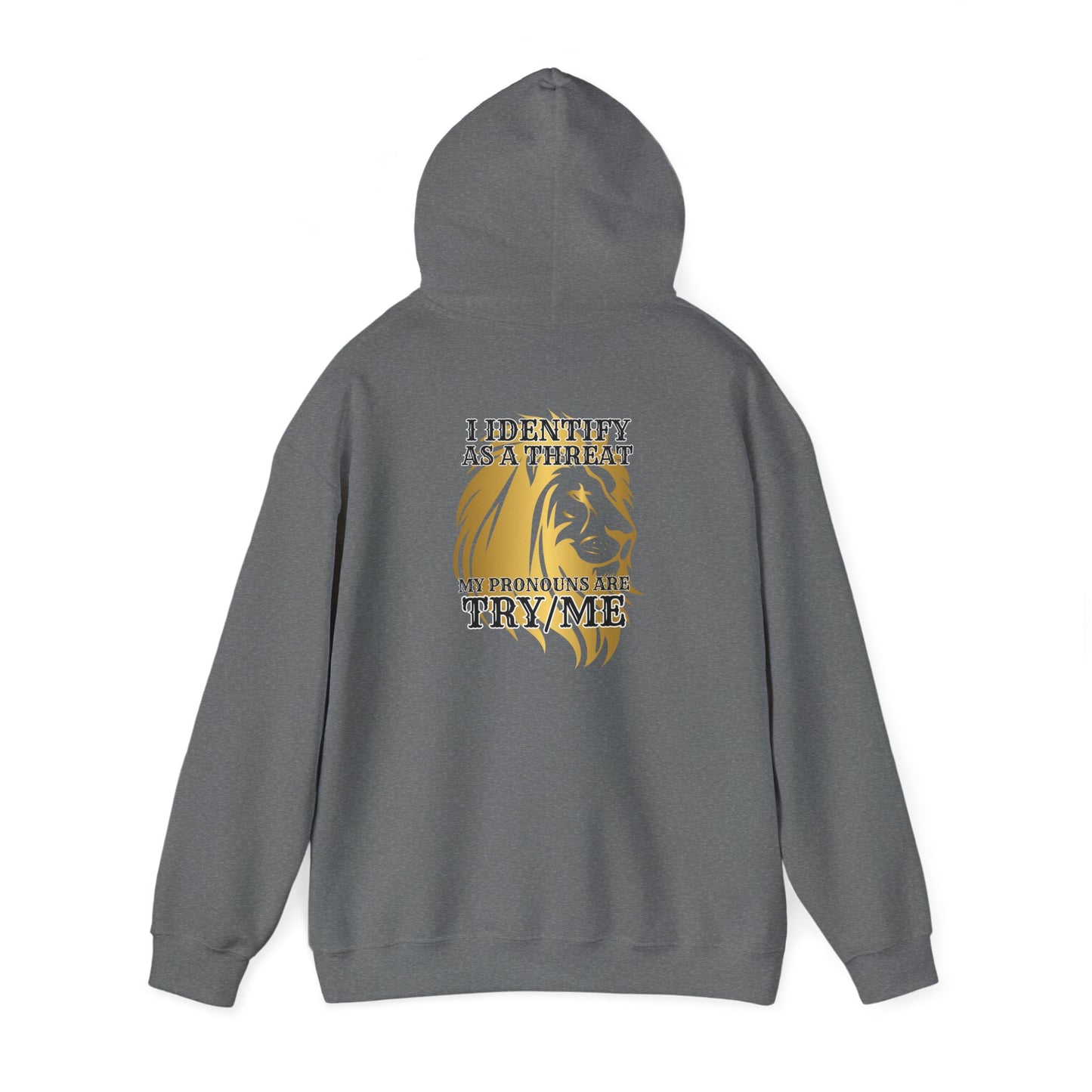 Pronouns Unisex Heavy Blend™ Hooded Sweatshirt