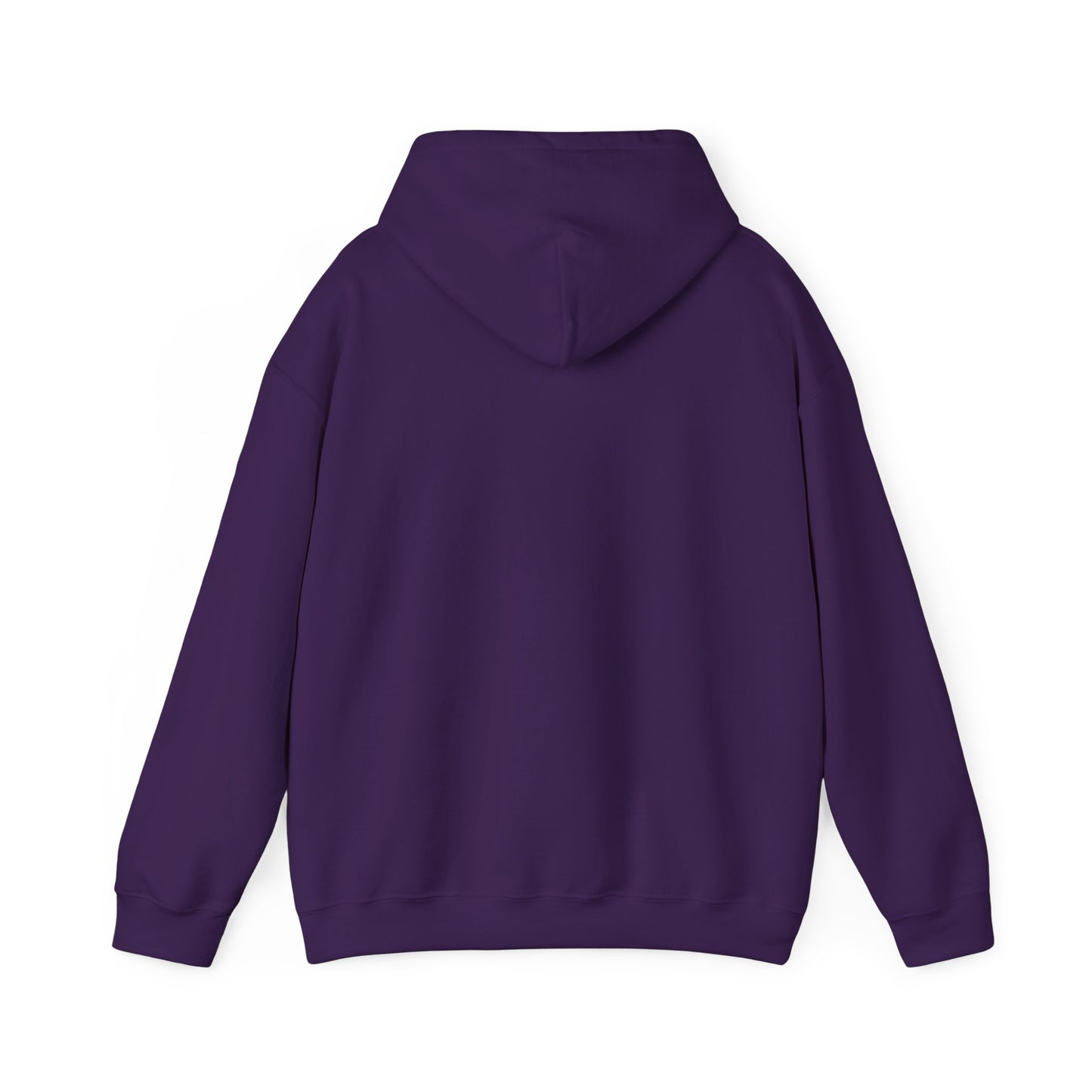 Houston Unisex Heavy Blend™ Hooded Sweatshirt
