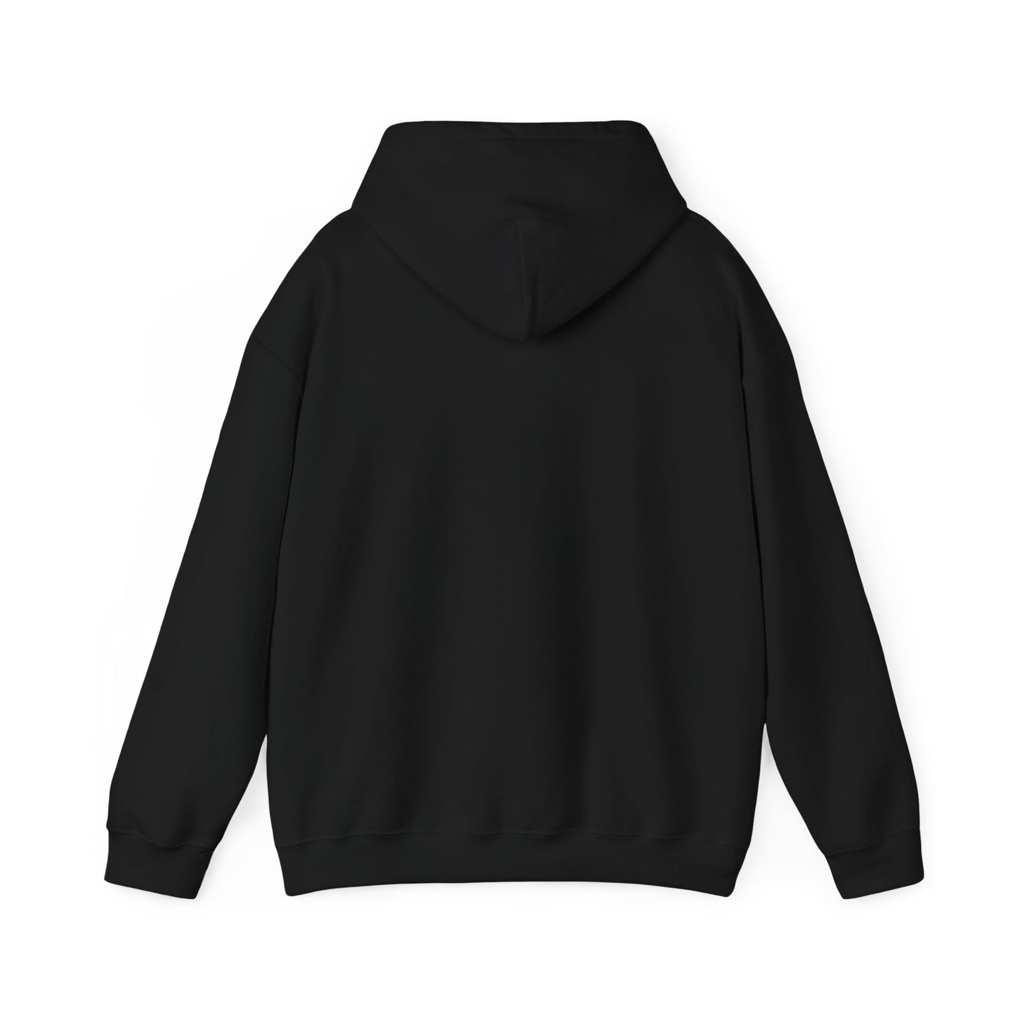 Houston Unisex Heavy Blend™ Hooded Sweatshirt