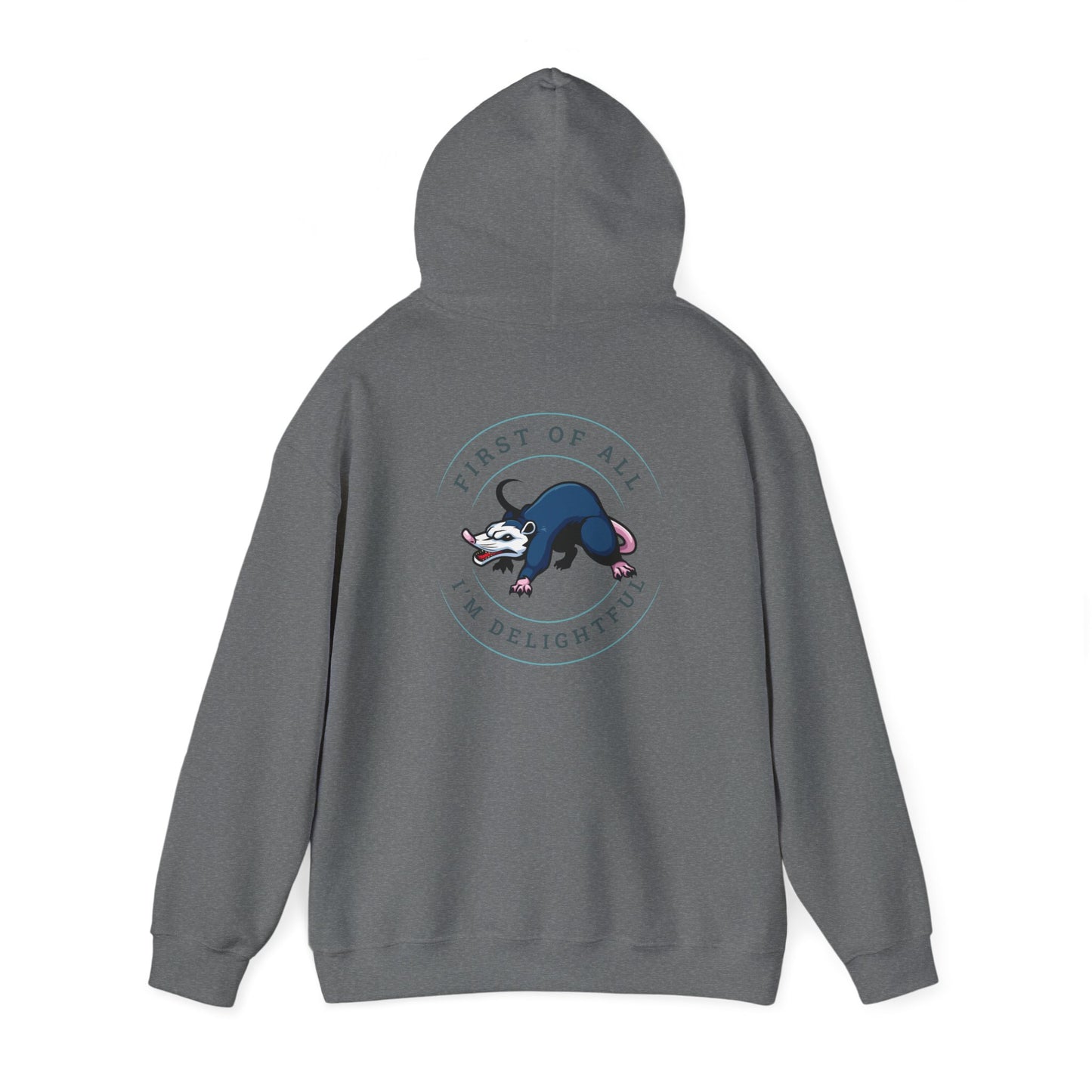 First of all Unisex Heavy Blend™ Hooded Sweatshirt