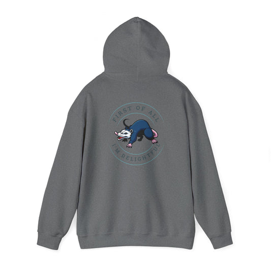 First of all Unisex Heavy Blend™ Hooded Sweatshirt
